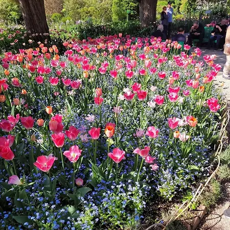 豪华帐篷 Roulotte Reve De Boheme Moisson